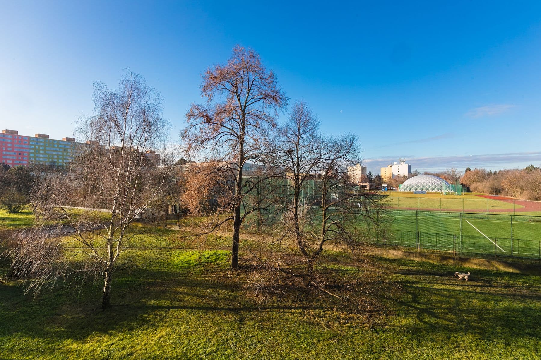 Prodej bytu 3+1 64 m², Svídnická, Praha, Praha Prodej bytu 3+1 64 m², Svídnická, Praha, Praha