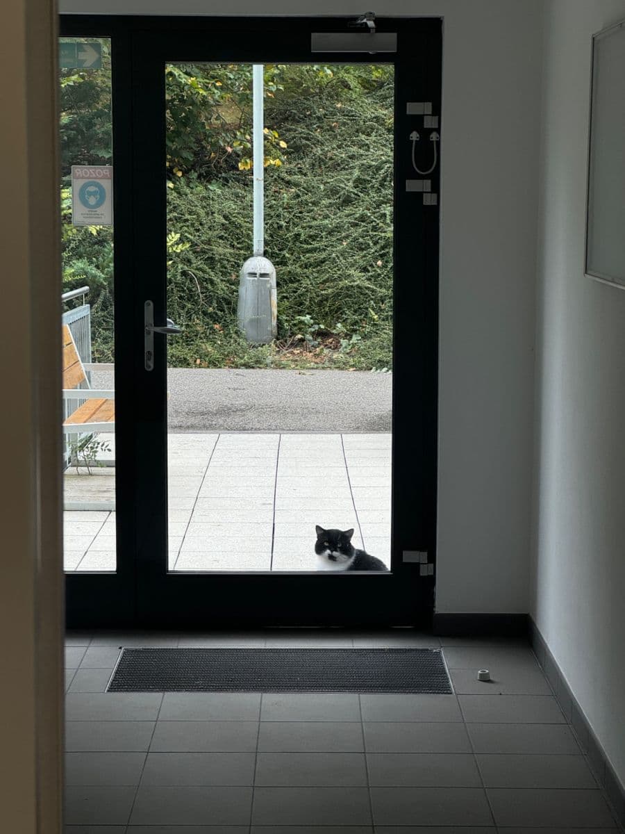 Pronájem bytu 1+kk 32 m², Rakovského, Praha, Praha Pronájem bytu 1+kk 32 m², Rakovského, Praha, Praha