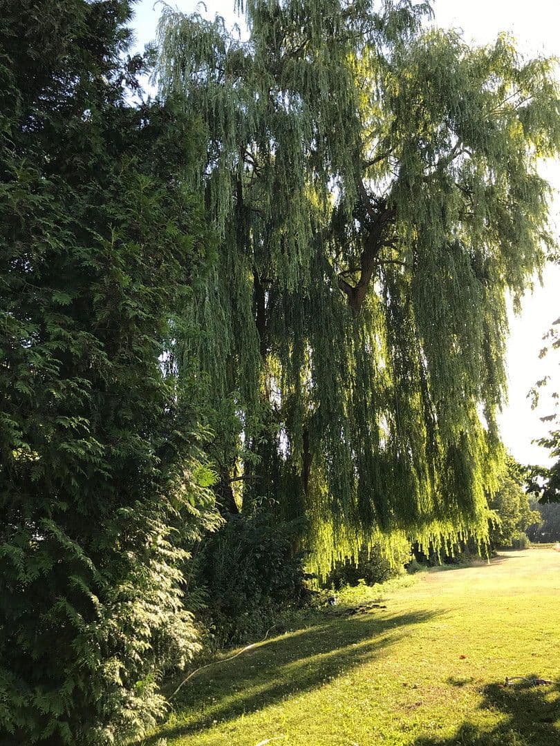 Pronájem nebytového prostoru 8.651 m², Ilmklause 1, Münchsmünster, Bavorsko Pronájem nebytového prostoru 8.651 m², Ilmklause 1, Münchsmünster, Bavorsko