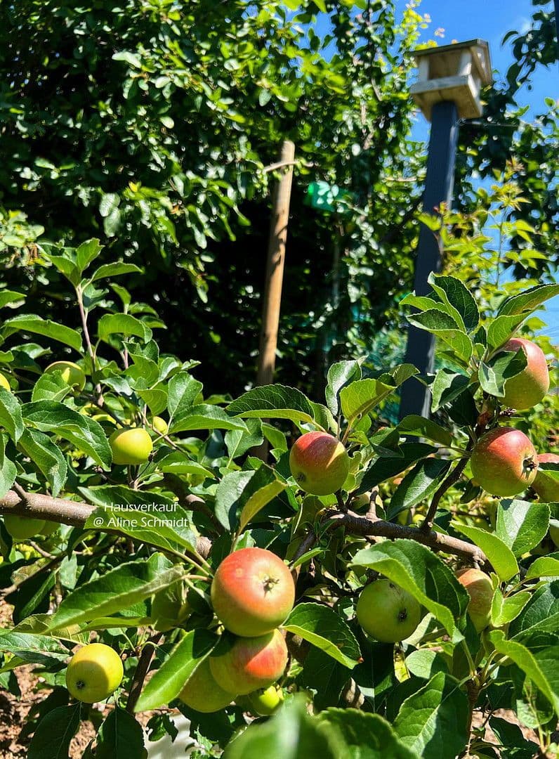 Prodej domu 210 m², pozemek 783 m², Radebeul, Sasko Prodej domu 210 m², pozemek 783 m², Radebeul, Sasko