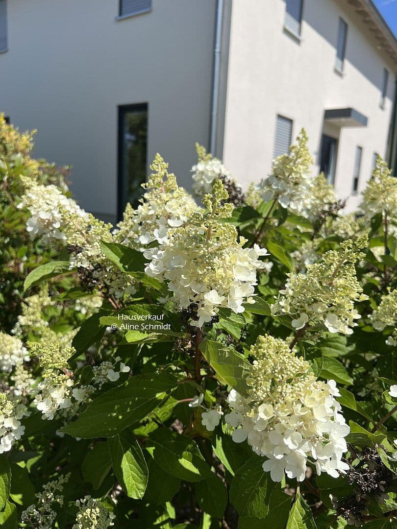 Prodej domu 210 m², pozemek 783 m², Radebeul, Sasko Prodej domu 210 m², pozemek 783 m², Radebeul, Sasko