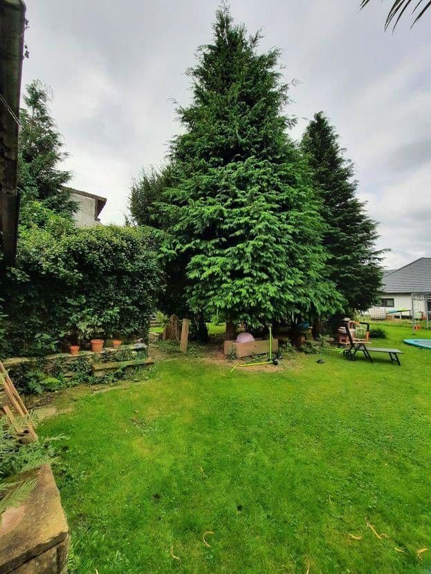 Prodej domu 297 m², pozemek 1.655 m², Dorfstraße 118, Michelstadt, Hessen Prodej domu 297 m², pozemek 1.655 m², Dorfstraße 118, Michelstadt, Hessen