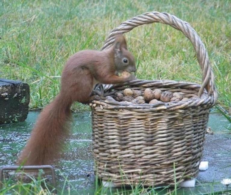 Prodej domu 120 m², pozemek 2.400 m², Riesa, Sasko Prodej domu 120 m², pozemek 2.400 m², Riesa, Sasko