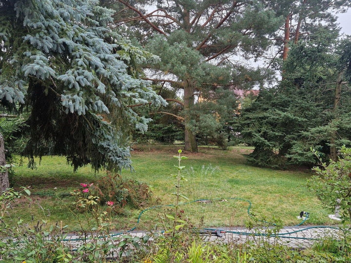 Prodej domu 120 m², pozemek 2.400 m², Riesa, Sasko Prodej domu 120 m², pozemek 2.400 m², Riesa, Sasko