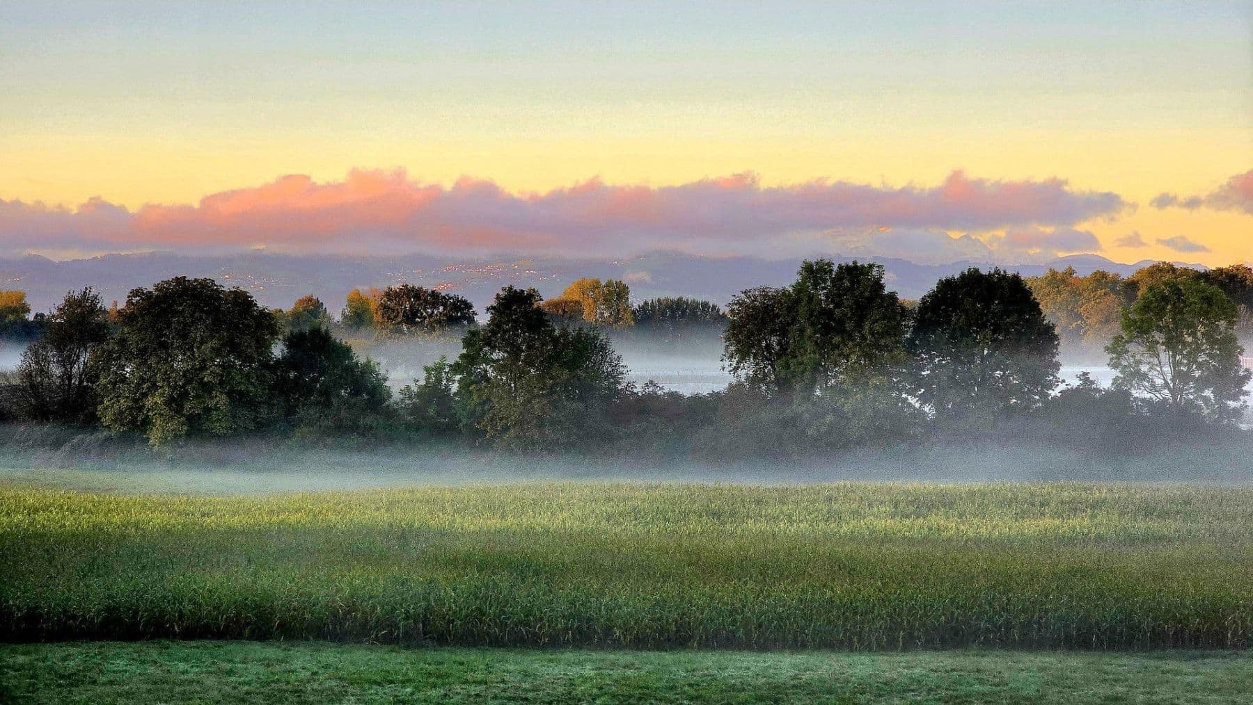 Prodej bytu 4+1 107 m², Kressbronn am Bodensee, Bádensko-Württembersko Prodej bytu 4+1 107 m², Kressbronn am Bodensee, Bádensko-Württembersko