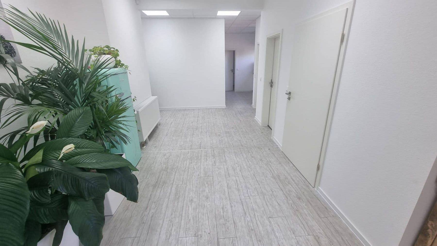 Prodej nebytového prostoru 2.800 m², Bauhofstr. 24, Lampertheim, Hessen Prodej nebytového prostoru 2.800 m², Bauhofstr. 24, Lampertheim, Hessen