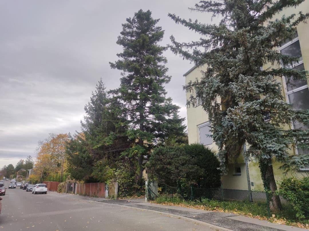 Pronájem bytu 3+1 74 m², Wien, Wien Pronájem bytu 3+1 74 m², Wien, Wien