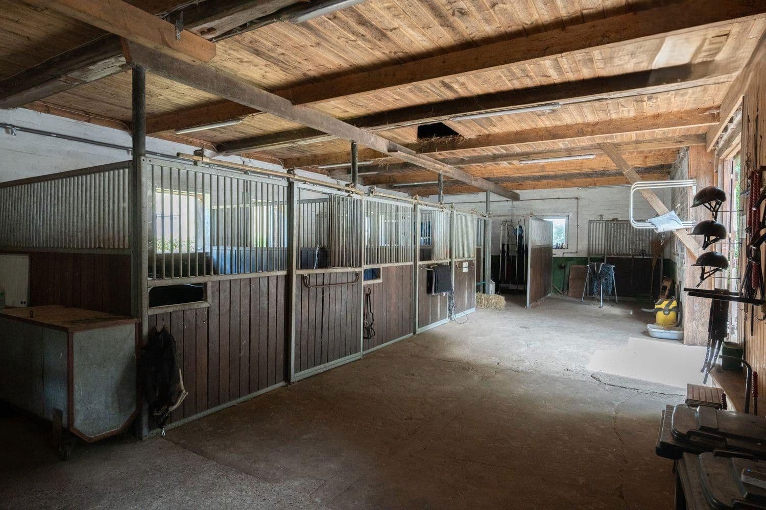 Prodej domu 500 m², pozemek 6.275 m², Lauenbrücker Straße 5, Schneverdingen, Dolní Sasko Prodej domu 500 m², pozemek 6.275 m², Lauenbrücker Straße 5, Schneverdingen, Dolní Sasko