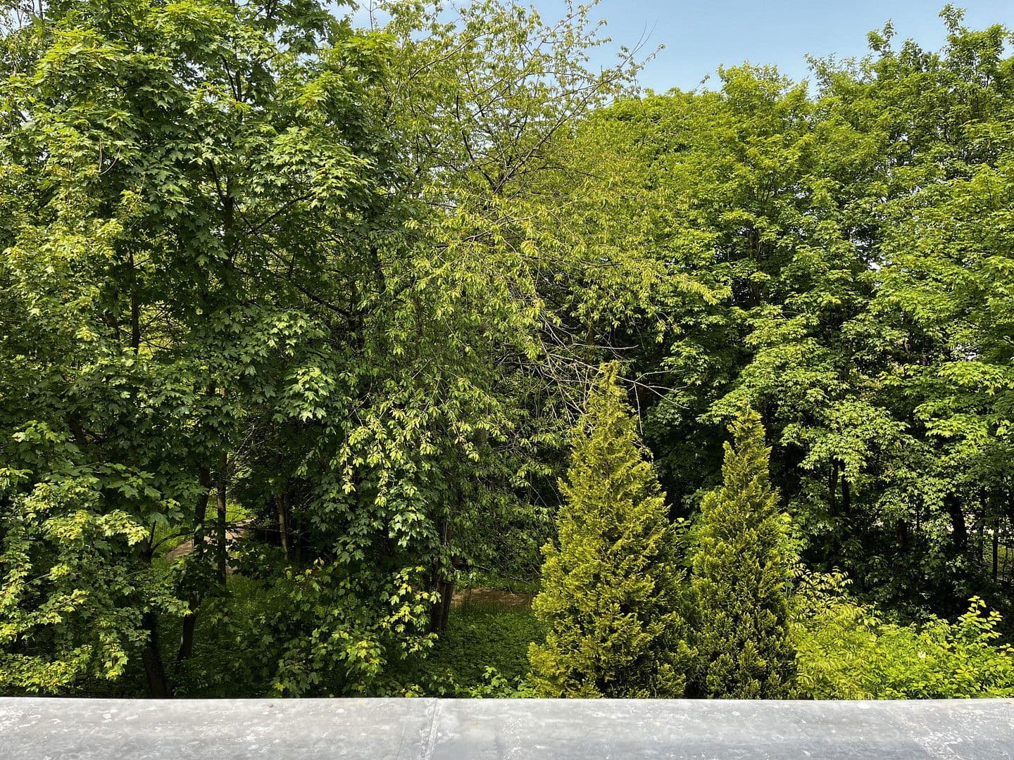 Pronájem bytu 4+1 91 m², Mönckebergallee, Hannover, Dolní Sasko Pronájem bytu 4+1 91 m², Mönckebergallee, Hannover, Dolní Sasko