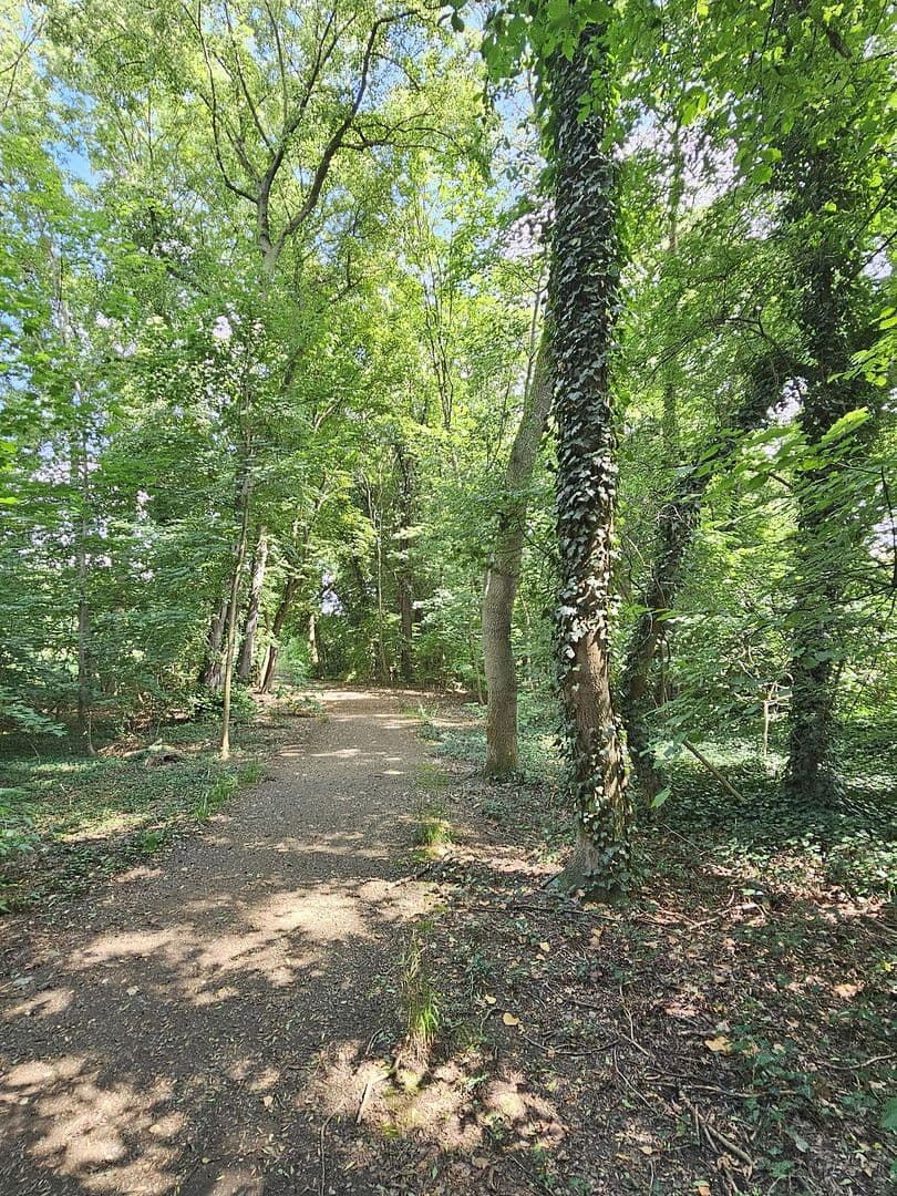 Pronájem bytu 3+1 57 m², Am Park 4, Markkleeberg, Sasko Pronájem bytu 3+1 57 m², Am Park 4, Markkleeberg, Sasko