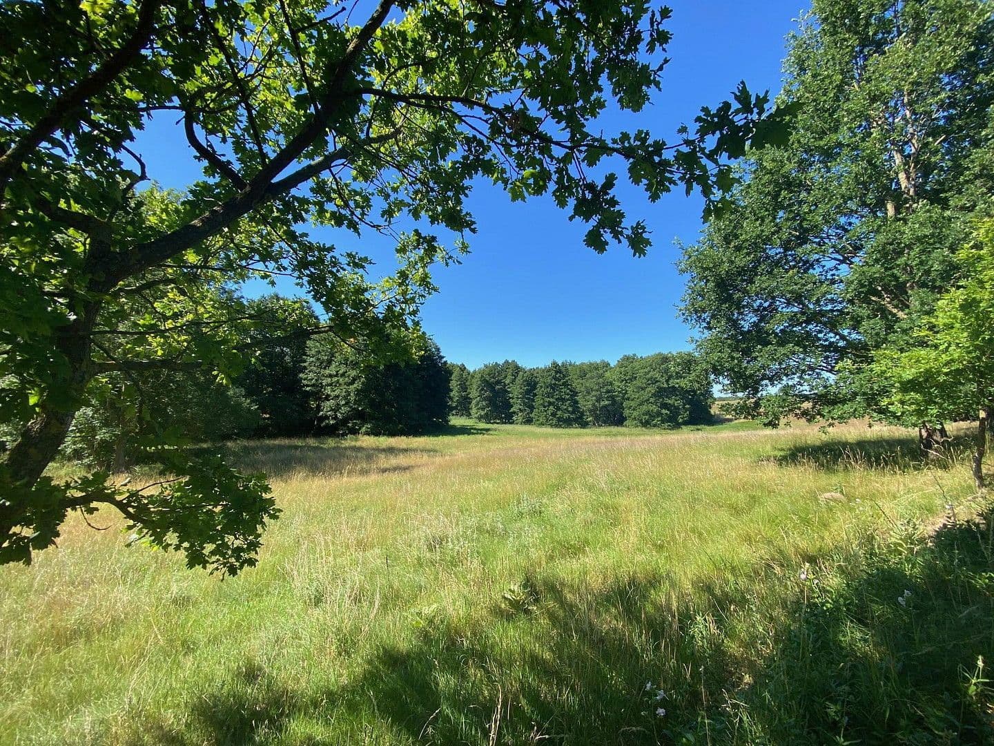 Prodej domu 306 m², pozemek 84.147 m², Witzin, Mecklenburg-Vorpommern Prodej domu 306 m², pozemek 84.147 m², Witzin, Mecklenburg-Vorpommern