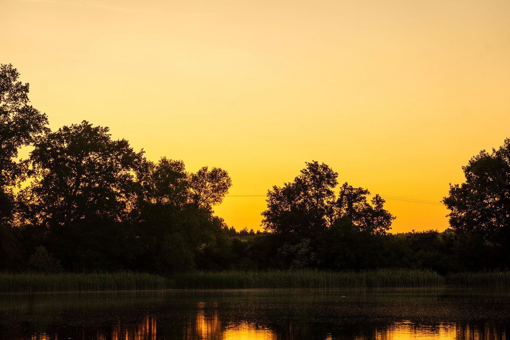 Prodej domu 306 m², pozemek 84.147 m², Witzin, Mecklenburg-Vorpommern Prodej domu 306 m², pozemek 84.147 m², Witzin, Mecklenburg-Vorpommern