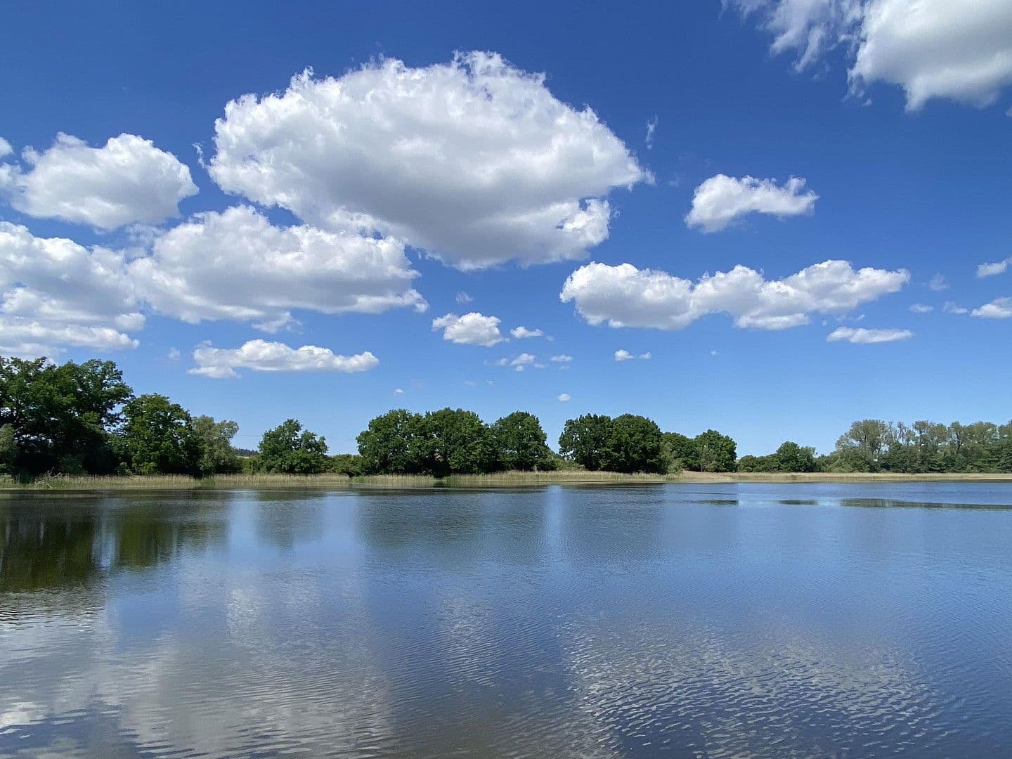 Prodej domu 306 m², pozemek 84.147 m², Witzin, Mecklenburg-Vorpommern Prodej domu 306 m², pozemek 84.147 m², Witzin, Mecklenburg-Vorpommern