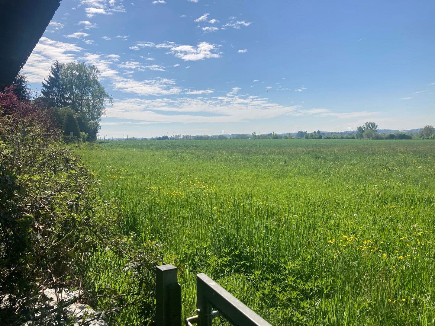 Prodej domu 213 m², pozemek 1.193 m², Jägersteig 11, Schrobenhausen, Bavorsko Prodej domu 213 m², pozemek 1.193 m², Jägersteig 11, Schrobenhausen, Bavorsko