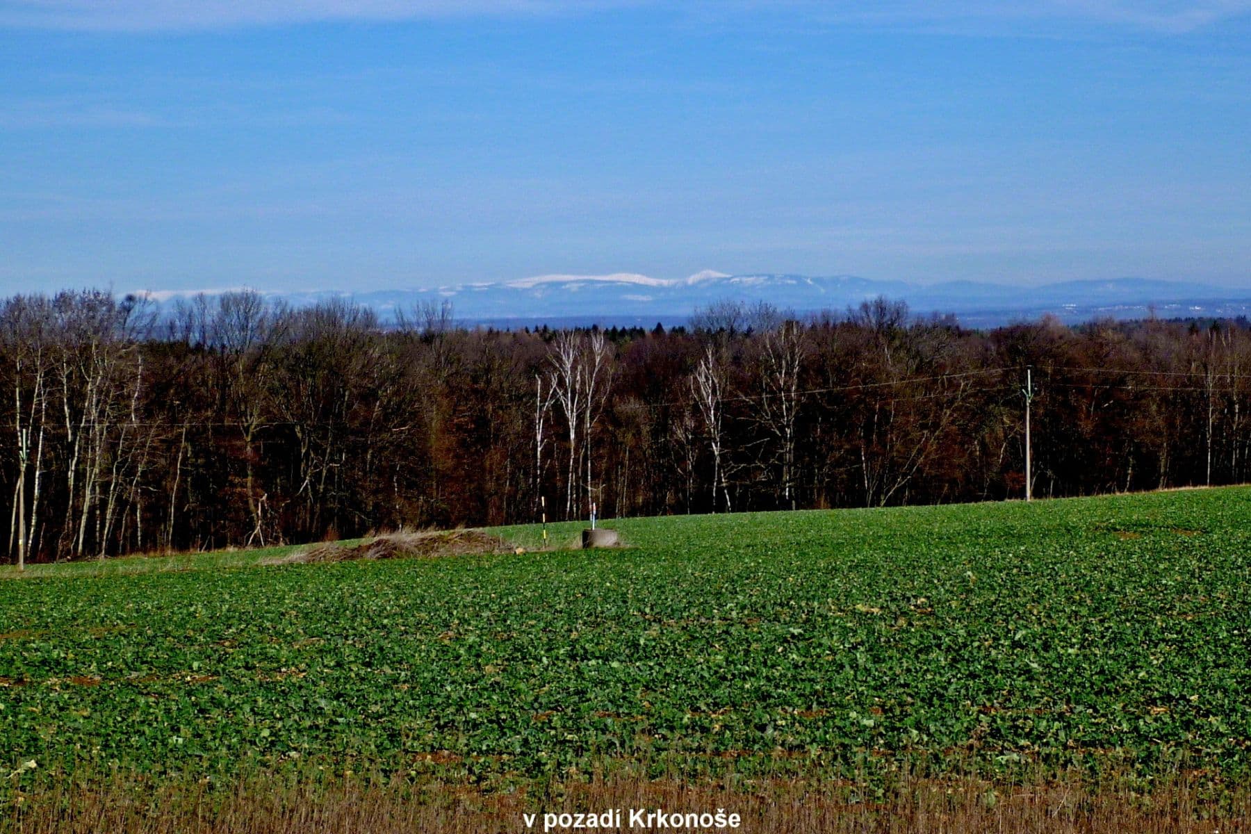 Prodej pozemku 1.657 m², Načešice, Pardubický kraj Prodej pozemku 1.657 m², Načešice, Pardubický kraj