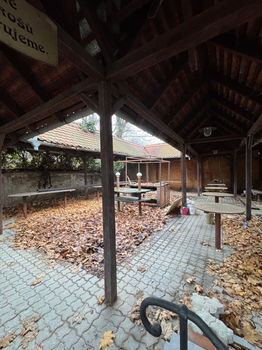 Pronájem bytu 1+kk 21 m², Francouzská, Brno, Jihomoravský kraj Pronájem bytu 1+kk 21 m², Francouzská, Brno, Jihomoravský kraj