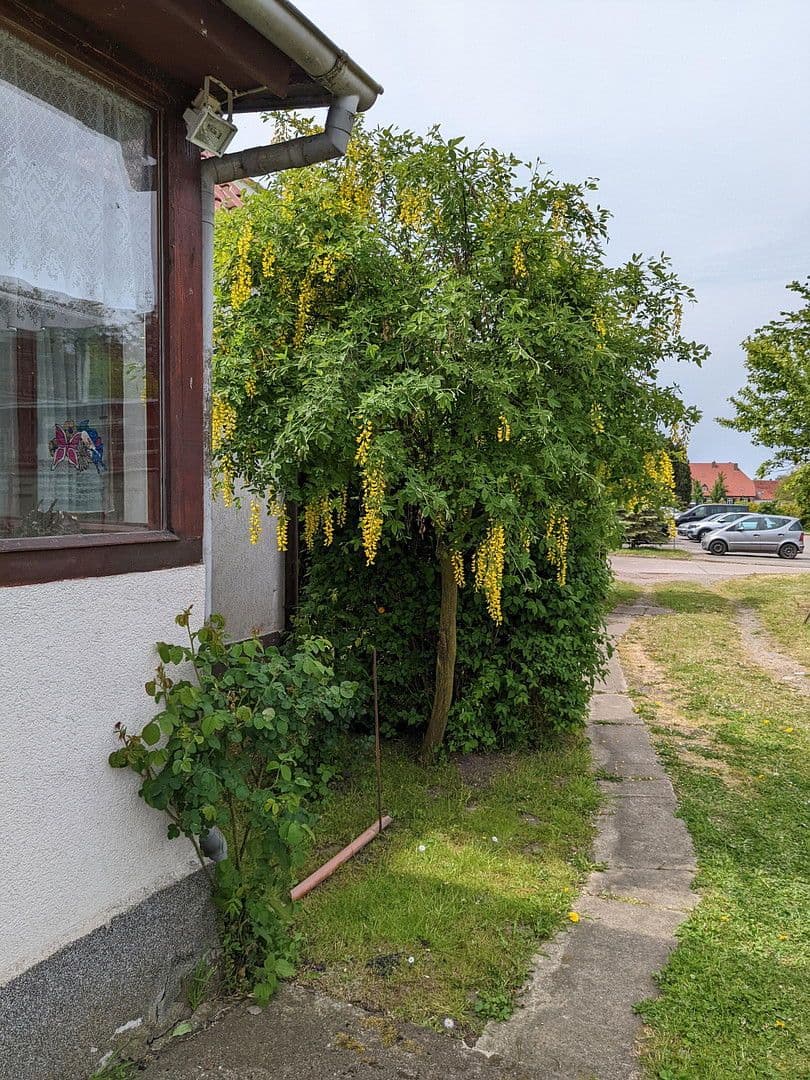 Prodej domu 138 m², pozemek 1.809 m², Neuburg, Mecklenburg-Vorpommern Prodej domu 138 m², pozemek 1.809 m², Neuburg, Mecklenburg-Vorpommern