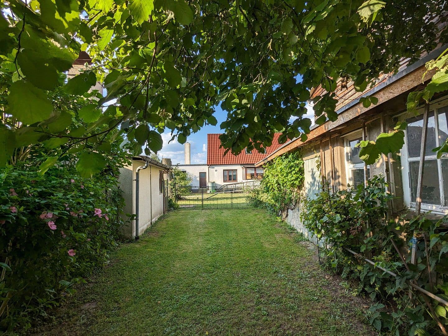 Prodej domu 138 m², pozemek 1.809 m², Neuburg, Mecklenburg-Vorpommern Prodej domu 138 m², pozemek 1.809 m², Neuburg, Mecklenburg-Vorpommern