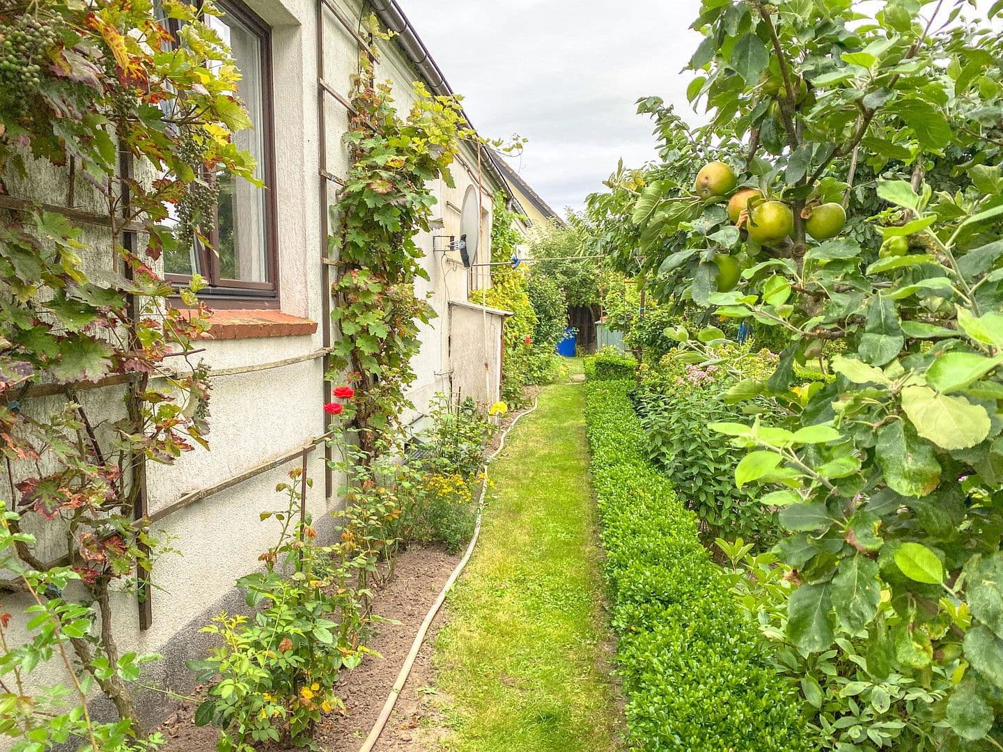 Prodej domu 138 m², pozemek 1.809 m², Neuburg, Mecklenburg-Vorpommern Prodej domu 138 m², pozemek 1.809 m², Neuburg, Mecklenburg-Vorpommern