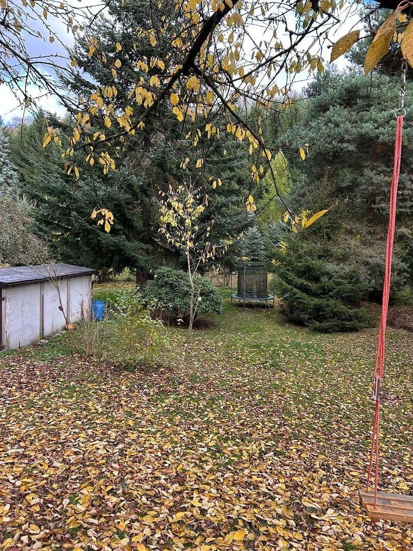 Pronájem bytu 2+1 48 m², Schafgartenweg 3, Lichtenstein/Sachsen, Sasko Pronájem bytu 2+1 48 m², Schafgartenweg 3, Lichtenstein/Sachsen, Sasko