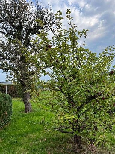 Pronájem bytu 4+kk 97 m², Zum Lindenhof 18, Limbach-Oberfrohna, Sasko Pronájem bytu 4+kk 97 m², Zum Lindenhof 18, Limbach-Oberfrohna, Sasko