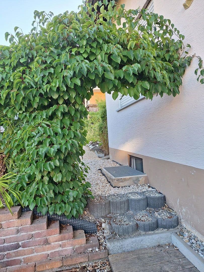 Prodej domu 100 m², pozemek 1.000 m², Emeringen, Bádensko-Württembersko Prodej domu 100 m², pozemek 1.000 m², Emeringen, Bádensko-Württembersko