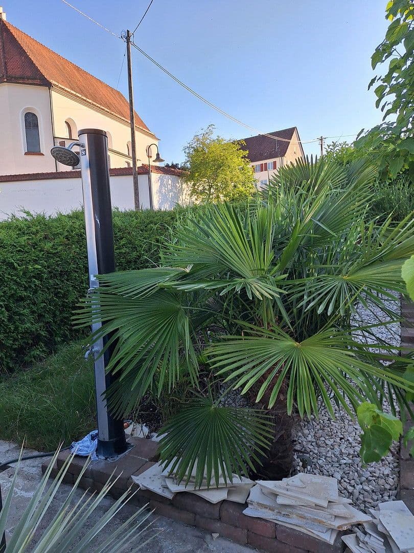 Prodej domu 100 m², pozemek 1.000 m², Emeringen, Bádensko-Württembersko Prodej domu 100 m², pozemek 1.000 m², Emeringen, Bádensko-Württembersko