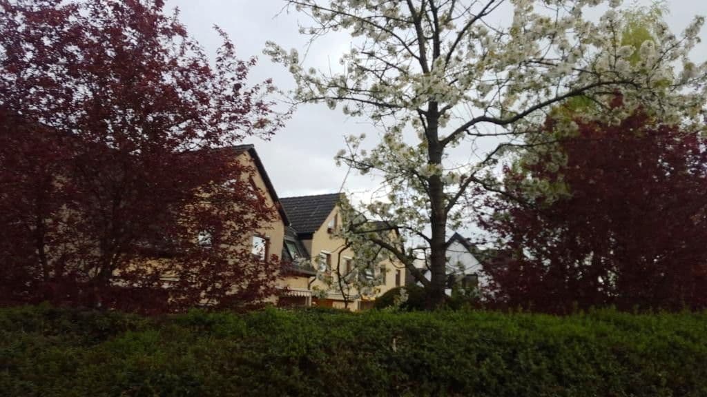 Prodej domu 96 m², pozemek 224 m², Falkenseer Chaussee, 174D, Berlin - Spandau, Berlín Prodej domu 96 m², pozemek 224 m², Falkenseer Chaussee, 174D, Berlin - Spandau, Berlín