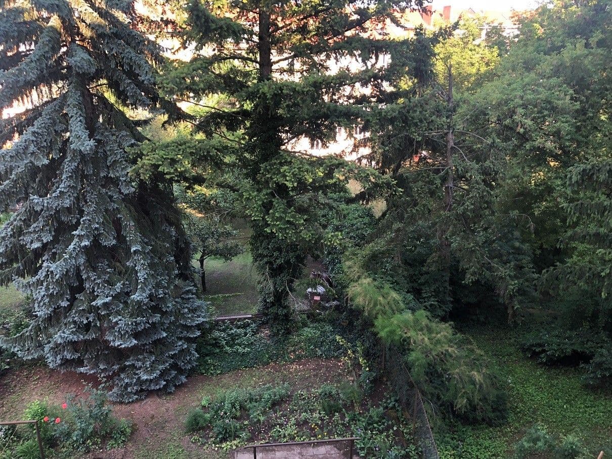 Pronájem bytu 3+1 73 m², Jugoslávská, Brno, Jihomoravský kraj Pronájem bytu 3+1 73 m², Jugoslávská, Brno, Jihomoravský kraj