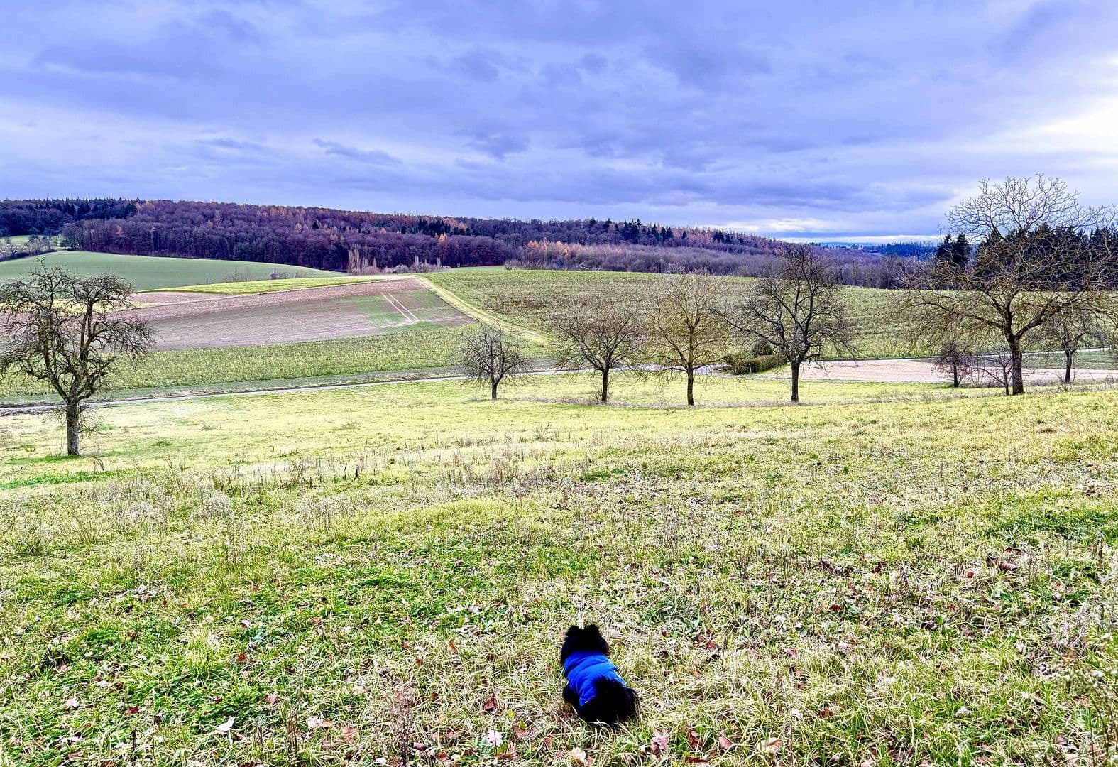Pronájem bytu 3+1 89 m², Im Steinig 12, Kraichtal, Bádensko-Württembersko Pronájem bytu 3+1 89 m², Im Steinig 12, Kraichtal, Bádensko-Württembersko