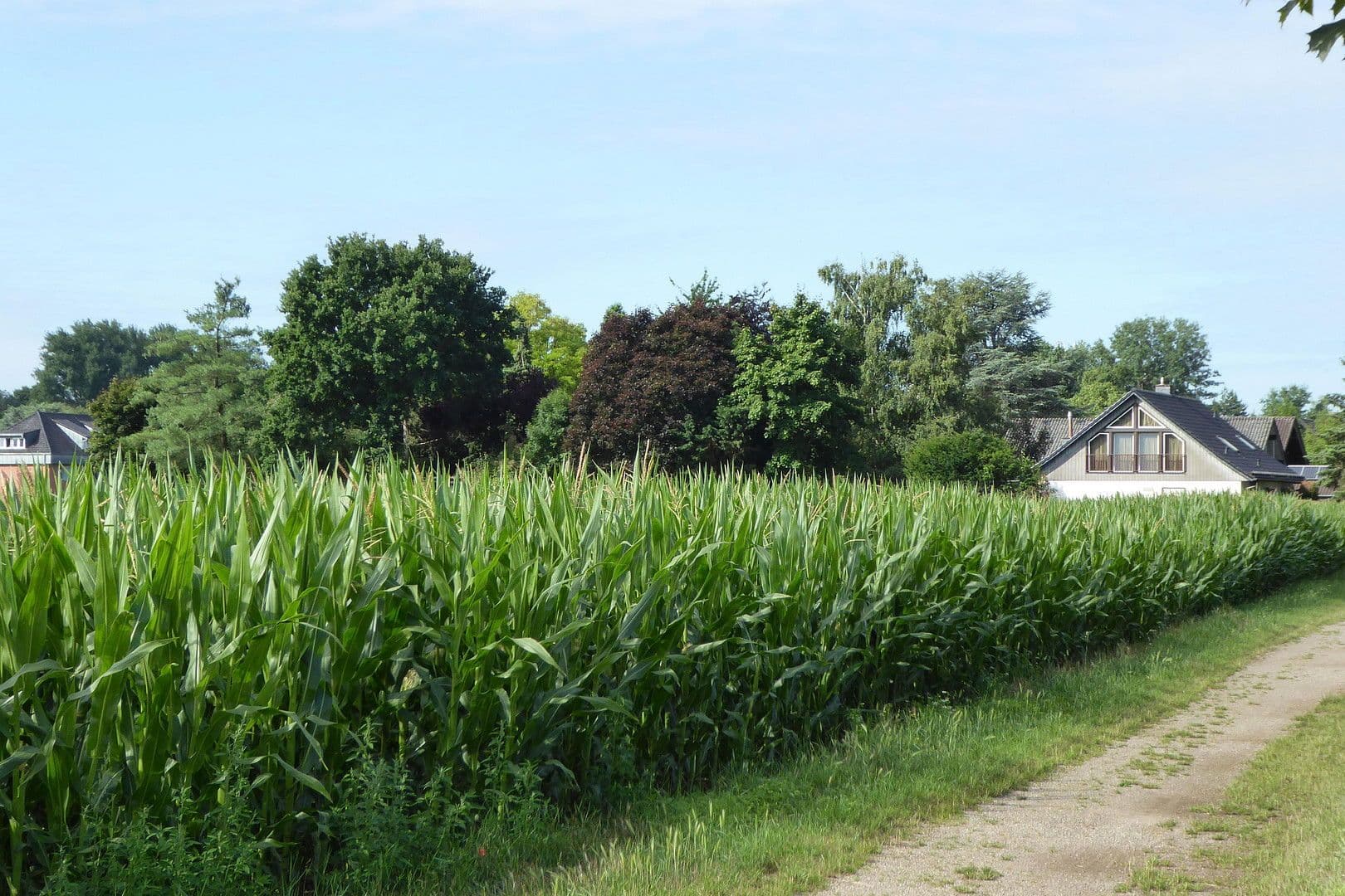 Prodej domu 190 m², pozemek 1.462 m², Düren, Severní Porýní-Vestfálsko Prodej domu 190 m², pozemek 1.462 m², Düren, Severní Porýní-Vestfálsko