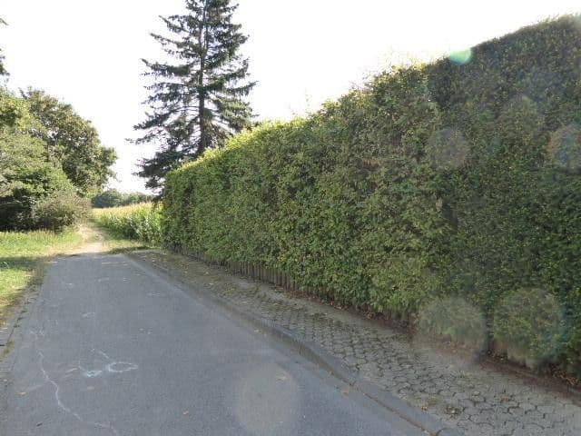 Prodej domu 190 m², pozemek 1.462 m², Düren, Severní Porýní-Vestfálsko Prodej domu 190 m², pozemek 1.462 m², Düren, Severní Porýní-Vestfálsko