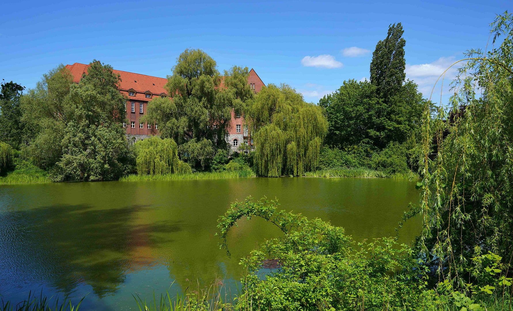 Pronájem bytu 2+kk 62 m², Parkstr. 89 D, Berlin, Berlín Pronájem bytu 2+kk 62 m², Parkstr. 89 D, Berlin, Berlín