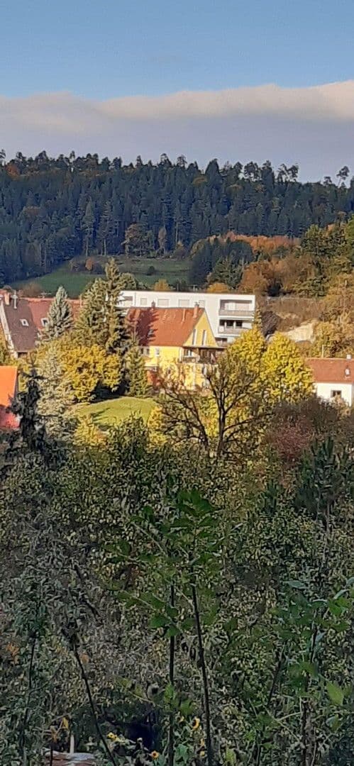 Prodej bytu 3+kk 120 m², Haiterbach, Bádensko-Württembersko Prodej bytu 3+kk 120 m², Haiterbach, Bádensko-Württembersko