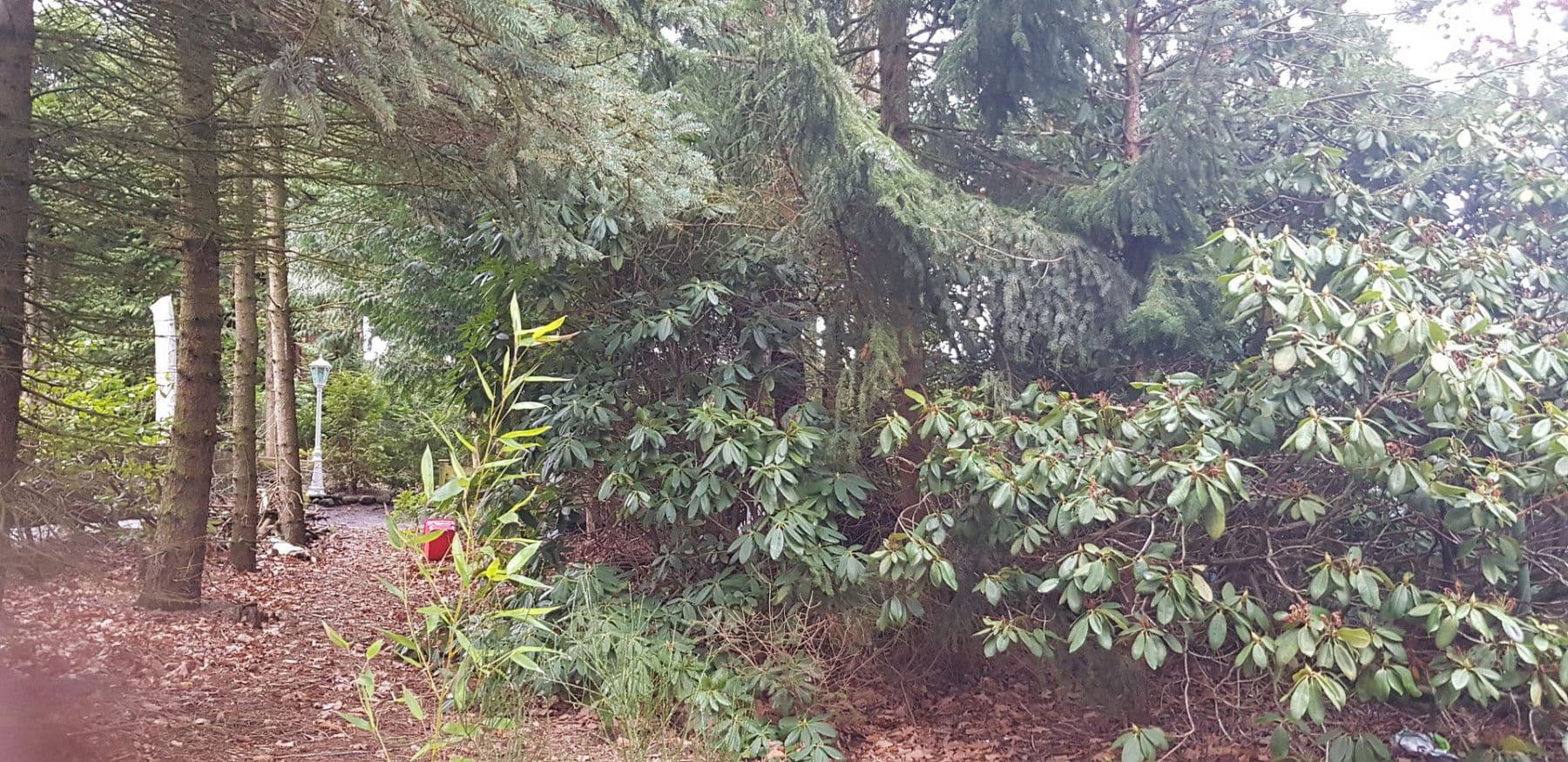 Prodej domu 200 m², pozemek 1.447 m², Johannes-Vogel-Str. 27, Seevetal, Dolní Sasko Prodej domu 200 m², pozemek 1.447 m², Johannes-Vogel-Str. 27, Seevetal, Dolní Sasko