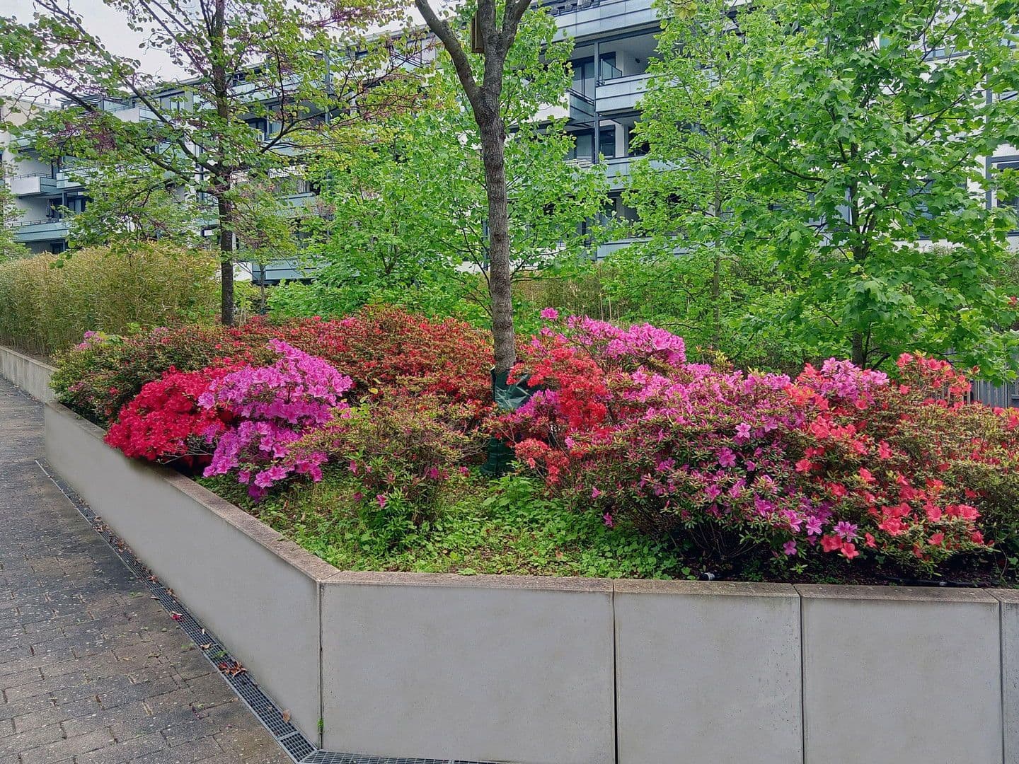 Prodej bytu 3+1 92 m², Кarlsruhe, Bádensko-Württembersko Prodej bytu 3+1 92 m², Кarlsruhe, Bádensko-Württembersko