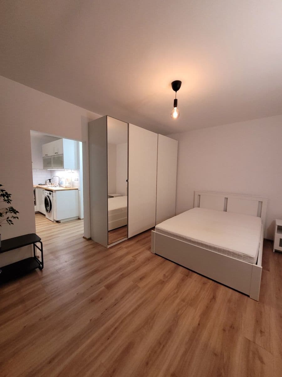Pronájem bytu 1+1 35 m², Dvořišťská, Praha, Praha Pronájem bytu 1+1 35 m², Dvořišťská, Praha, Praha