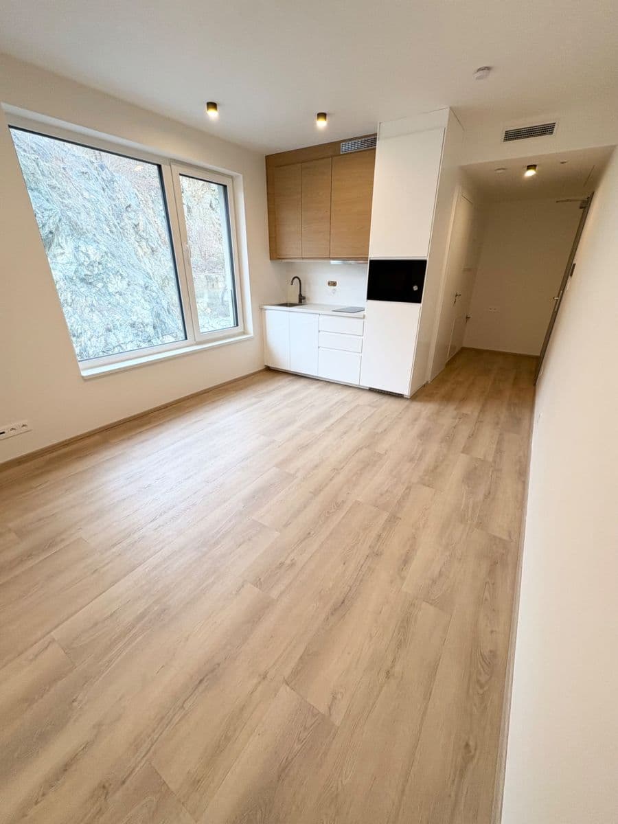 Pronájem bytu 1+kk 25 m², Bystrcká, Brno, Jihomoravský kraj Pronájem bytu 1+kk 25 m², Bystrcká, Brno, Jihomoravský kraj