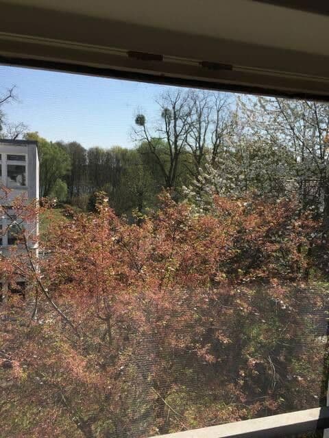 Prodej bytu 2+1 81 m², Potsdam Groß Glienicke, Braniborsko Prodej bytu 2+1 81 m², Potsdam Groß Glienicke, Braniborsko