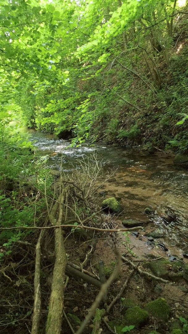 Pronájem bytu 3+1 119 m², Schwimmbadstraße 7, Bad Herrenalb, Bádensko-Württembersko Pronájem bytu 3+1 119 m², Schwimmbadstraße 7, Bad Herrenalb, Bádensko-Württembersko