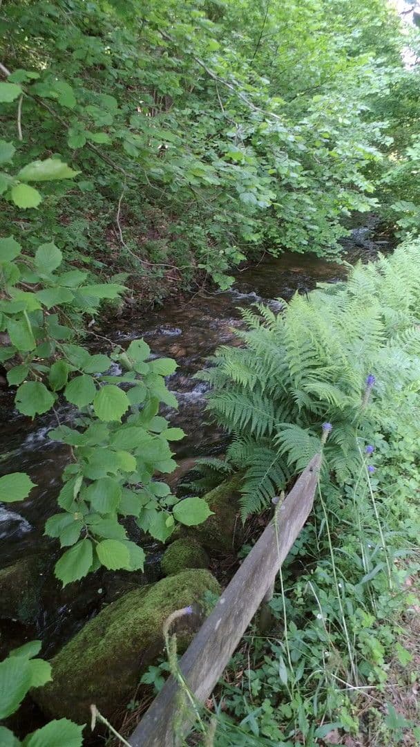 Pronájem bytu 3+1 119 m², Schwimmbadstraße 7, Bad Herrenalb, Bádensko-Württembersko Pronájem bytu 3+1 119 m², Schwimmbadstraße 7, Bad Herrenalb, Bádensko-Württembersko