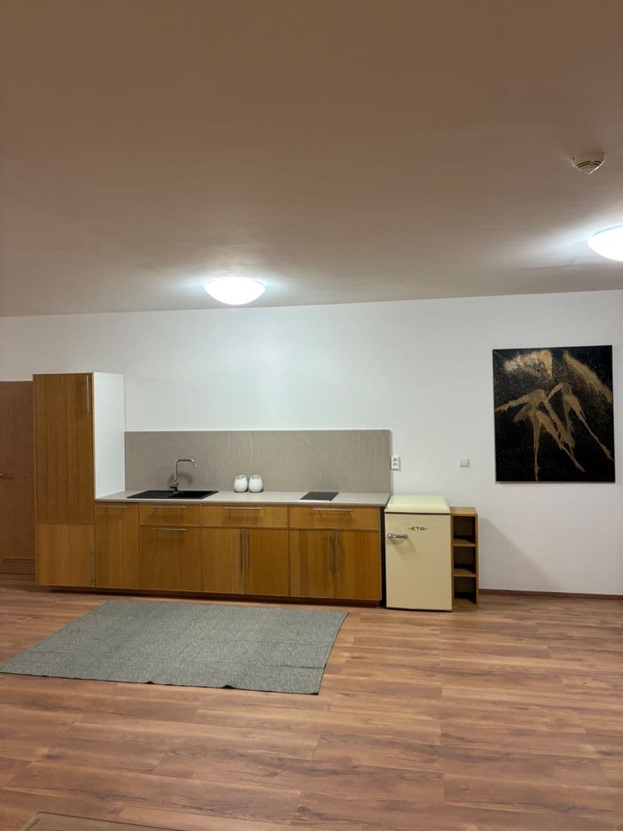 Pronájem bytu 2+kk 92 m², Pod Dvorem, Praha, Praha Pronájem bytu 2+kk 92 m², Pod Dvorem, Praha, Praha