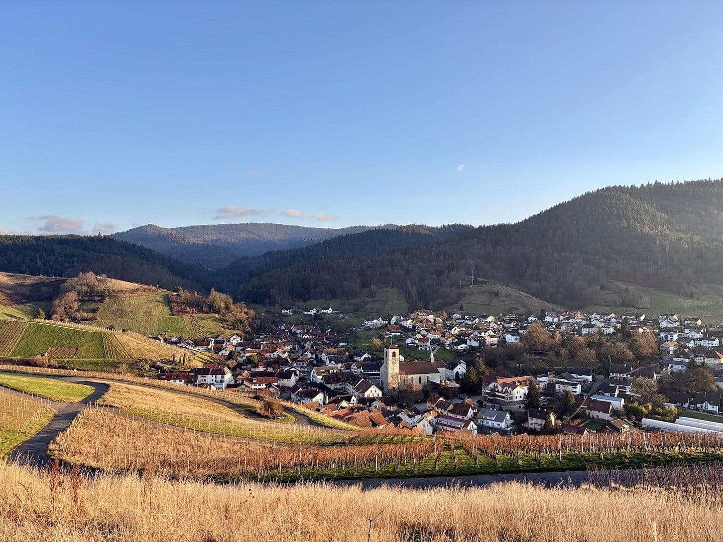 Prodej bytu 3+1 73 m², Mauerbergstr. 83, Baden-Baden, Bádensko-Württembersko Prodej bytu 3+1 73 m², Mauerbergstr. 83, Baden-Baden, Bádensko-Württembersko