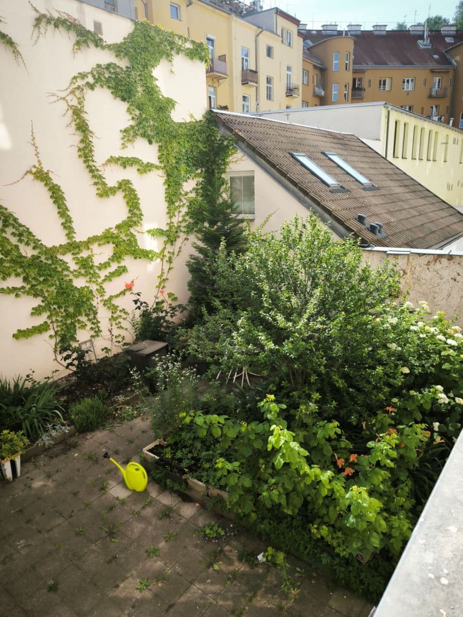 Pronájem bytu 2+kk 45 m², Šaldova, Praha, Praha Pronájem bytu 2+kk 45 m², Šaldova, Praha, Praha