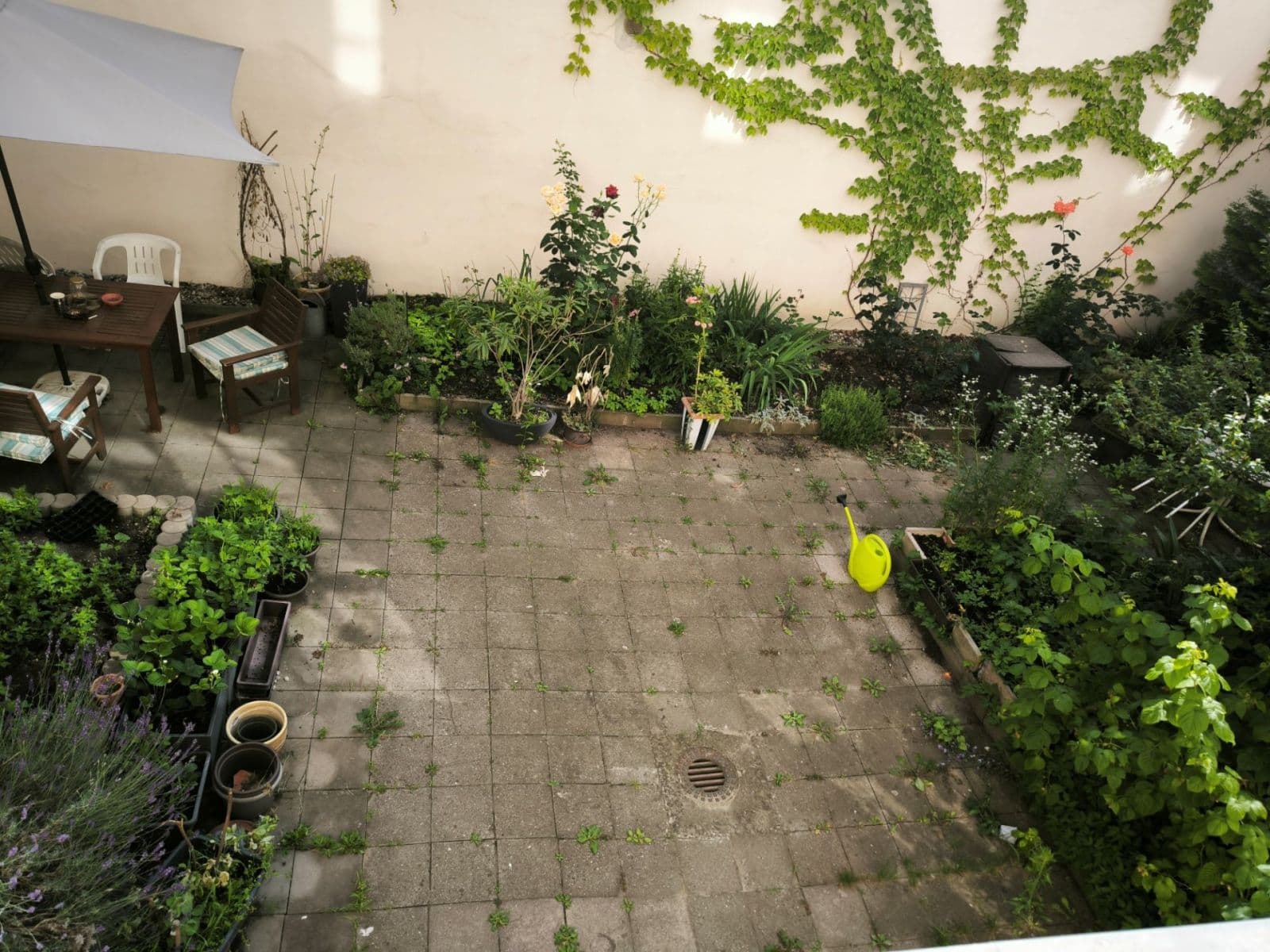 Pronájem bytu 2+kk 45 m², Šaldova, Praha, Praha Pronájem bytu 2+kk 45 m², Šaldova, Praha, Praha