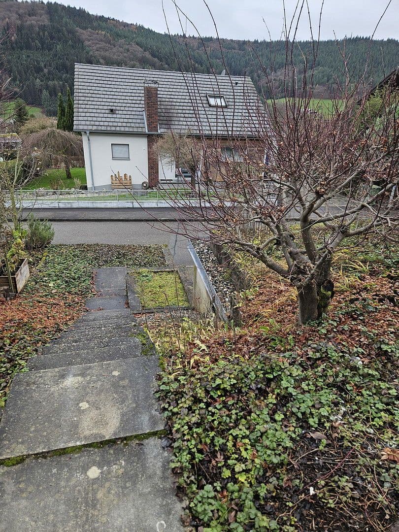 Prodej domu 153 m², pozemek 196 m², Seelbach, Bádensko-Württembersko Prodej domu 153 m², pozemek 196 m², Seelbach, Bádensko-Württembersko