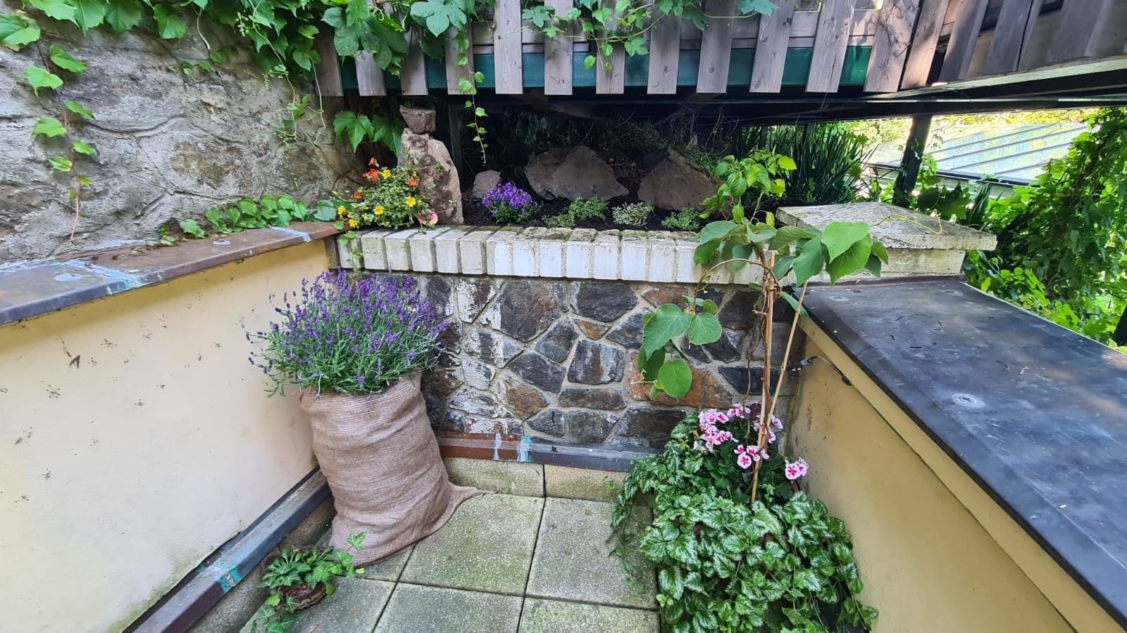 Pronájem bytu 1+kk 22 m², V Šáreckém údolí, Praha, Praha Pronájem bytu 1+kk 22 m², V Šáreckém údolí, Praha, Praha