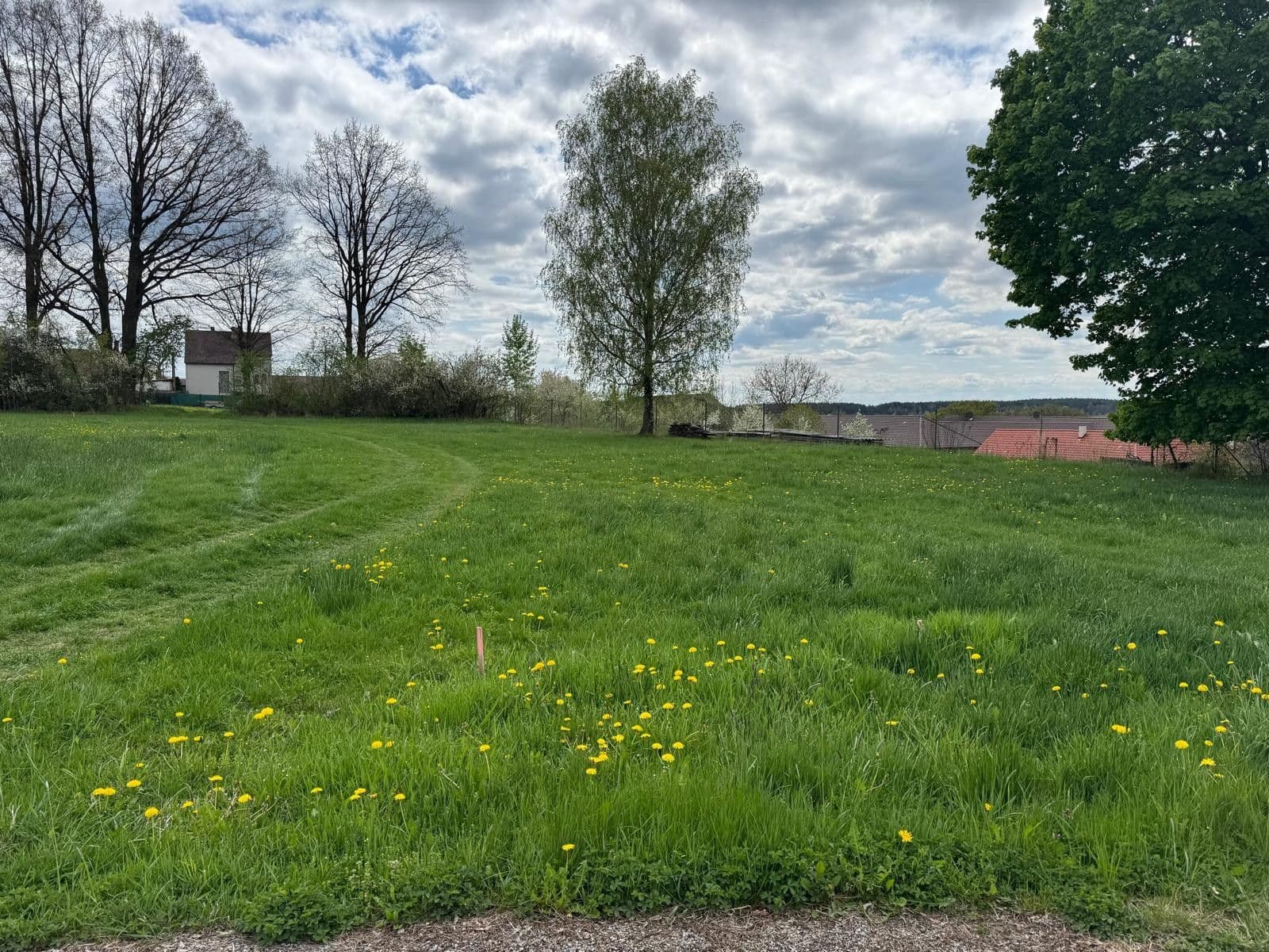 Prodej pozemku 1.131 m², Borovany, Jihočeský kraj Prodej pozemku 1.131 m², Borovany, Jihočeský kraj