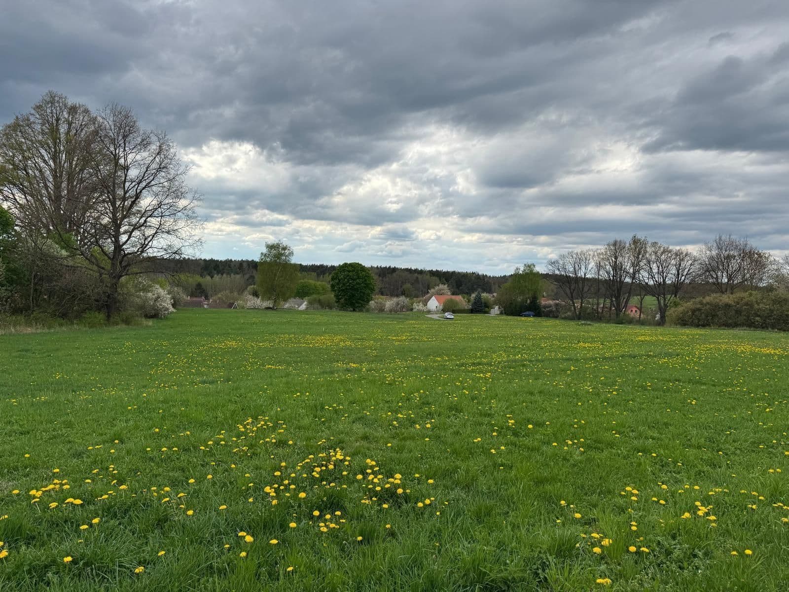 Prodej pozemku 1.131 m², Borovany, Jihočeský kraj Prodej pozemku 1.131 m², Borovany, Jihočeský kraj