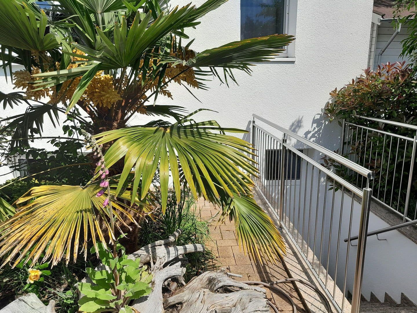 Prodej domu 229 m², pozemek 509 m², Hanau, Hessen Prodej domu 229 m², pozemek 509 m², Hanau, Hessen